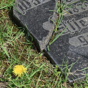 Final Photography - Friedhof Ohlsdorf, Hamburg