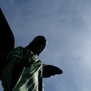 Final Photography - Friedhof Ohlsdorf, Hamburg