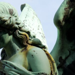Final Photography - Friedhof Ohlsdorf, Hamburg