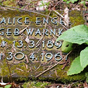 Final Photography - Friedhof Ohlsdorf, Hamburg